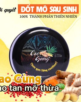 Cao Gừng Tan Mỡ Bụng Thiên Nhiên Việt - 8936079033002