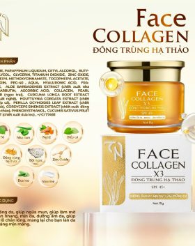 Kem Face Collagen X3 TN Đông Trùng Hạ Thảo Ban Ngày Mỹ Phẩm Đông Anh 15g - FACENGAYX3MOI