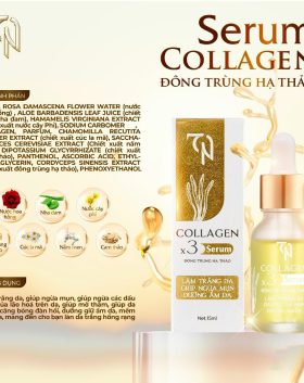 Combo Kem Face Đêm Collagen X3 TN Mỹ Phẩm Đông Anh - CBFACEX3TNDEM